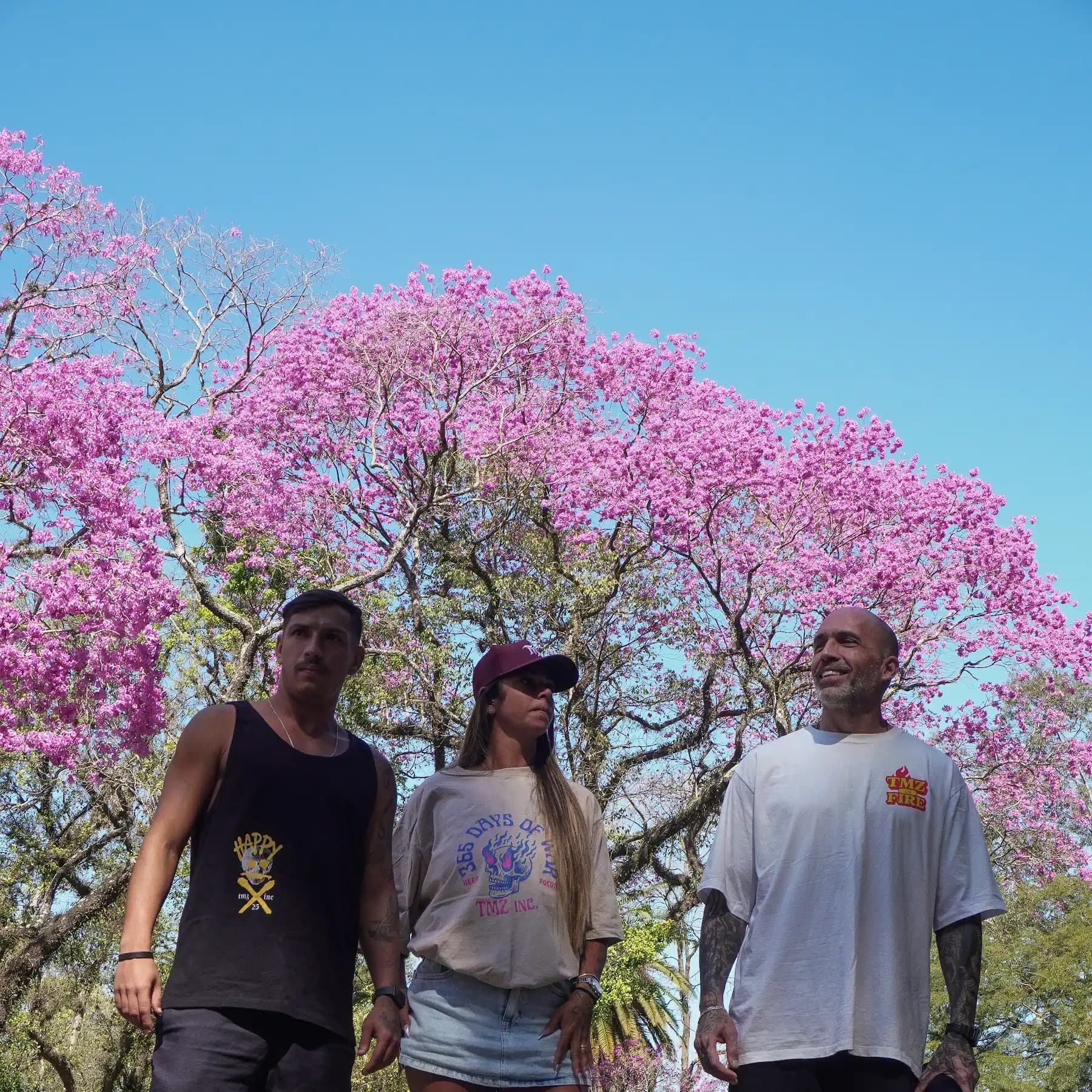 Trio TMZ sob o ipê rosa