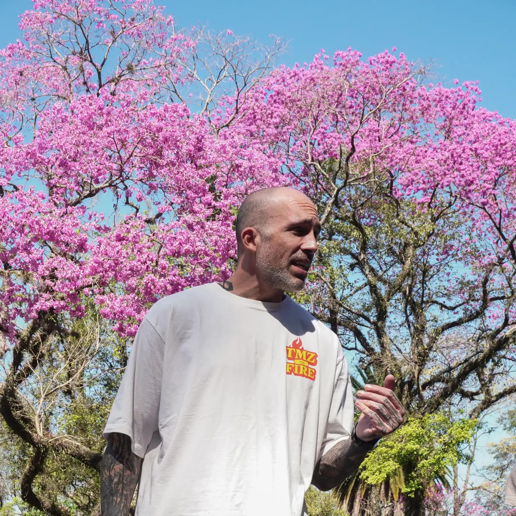 Camiseta branca TMZ Fire sob os ipês